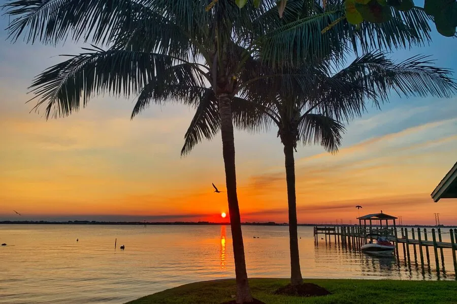 Palms silhouetted against a sunset over the water, The Waters